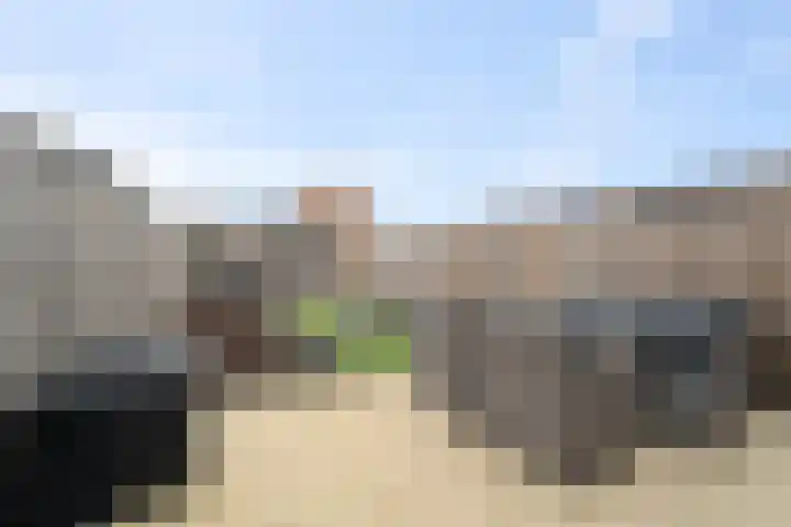 Wierbalg 1189 Julianadorp thumbnail 14