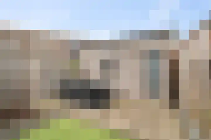Wierbalg 1189 Julianadorp thumbnail 15
