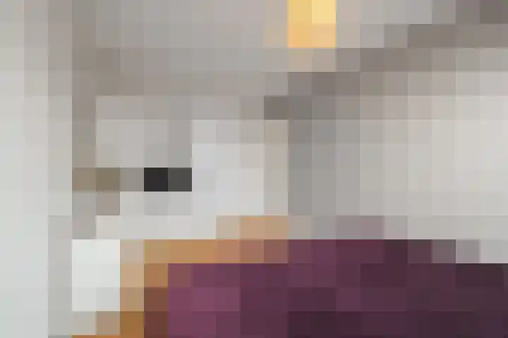 Wierbalg 1189 Julianadorp thumbnail 17