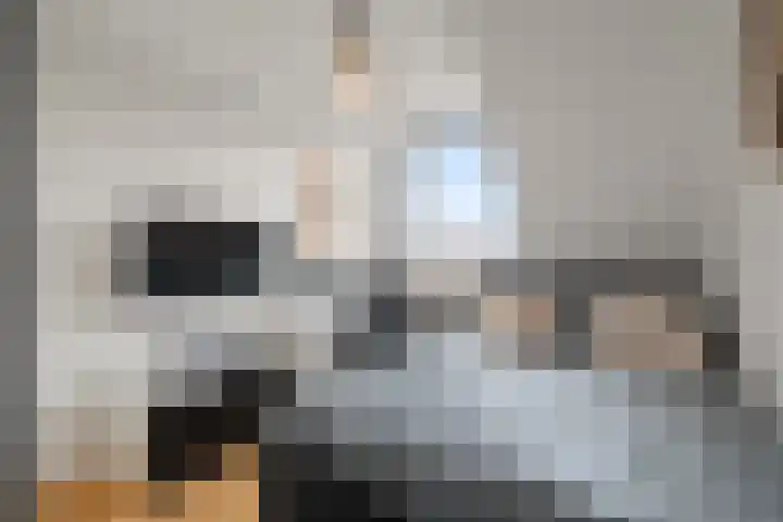 Wierbalg 1189 Julianadorp thumbnail 20