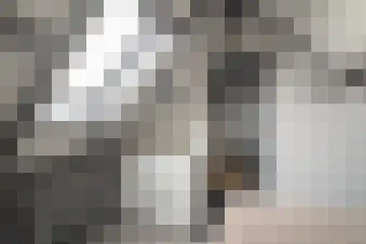Wierbalg 1189 Julianadorp thumbnail 26
