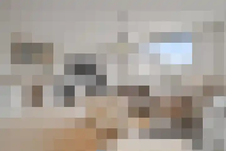 Wierbalg 1189 Julianadorp thumbnail 5