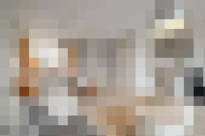 Wierbalg 1189 Julianadorp thumbnail 8