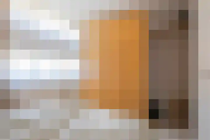 Wierbalg 1210 Julianadorp thumbnail 10
