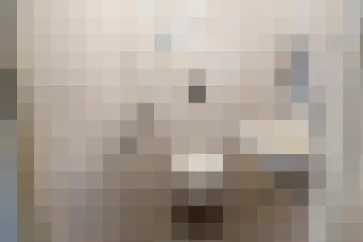 Wierbalg 1210 Julianadorp thumbnail 14