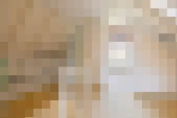 Wierbalg 1210 Julianadorp thumbnail 17