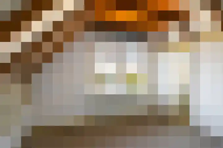 Wierbalg 1210 Julianadorp thumbnail 19