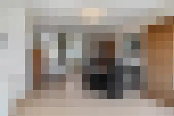Wierbalg 1210 Julianadorp thumbnail 6