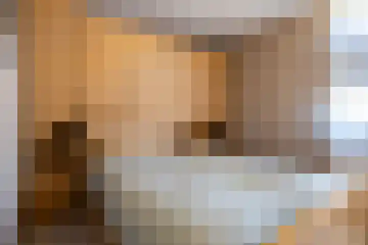 Wierbalg 1210 Julianadorp thumbnail 9