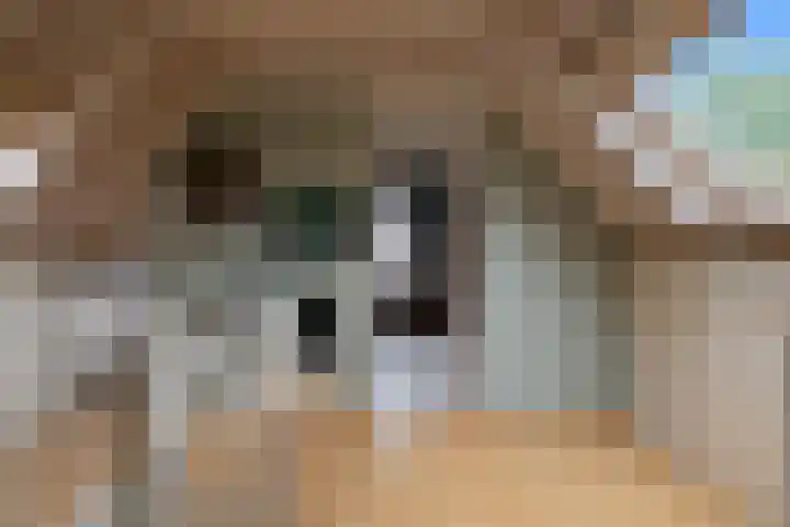 Wierbalg 1237 Julianadorp thumbnail 13