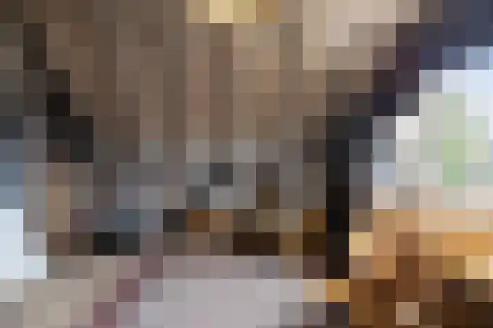 Wierbalg 1237 Julianadorp thumbnail 15