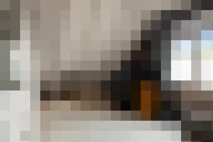 Wierbalg 1237 Julianadorp thumbnail 16