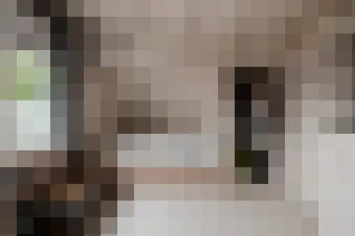Wierbalg 1237 Julianadorp thumbnail 17