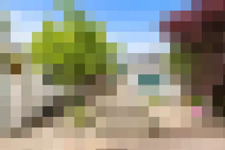 Wierbalg 1237 Julianadorp thumbnail 18