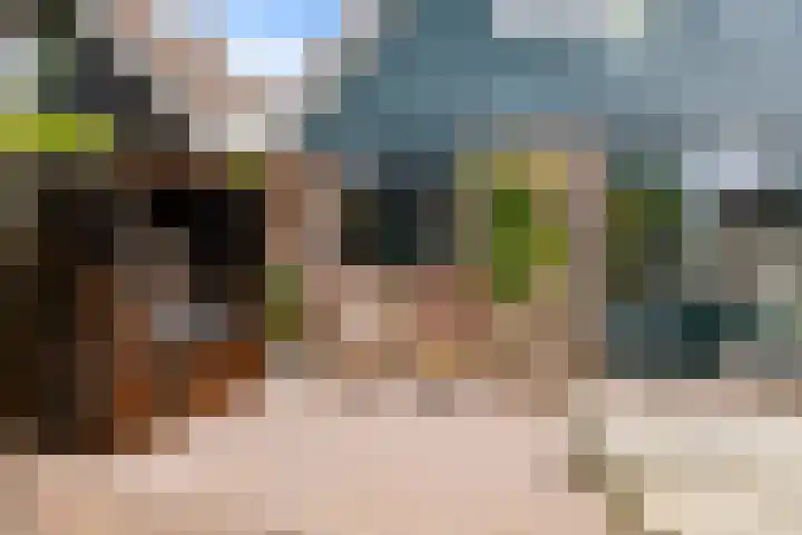 Wierbalg 1237 Julianadorp thumbnail 19