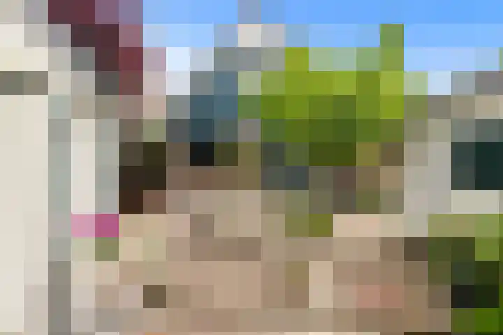 Wierbalg 1237 Julianadorp thumbnail 20