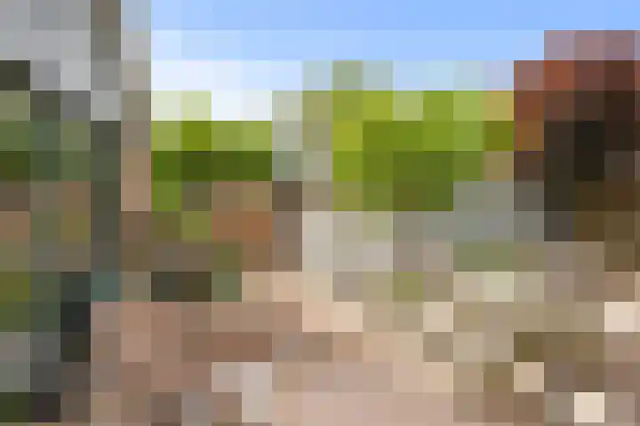 Wierbalg 1237 Julianadorp thumbnail 21