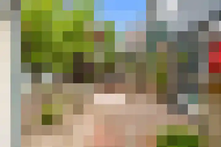 Wierbalg 1237 Julianadorp thumbnail 22
