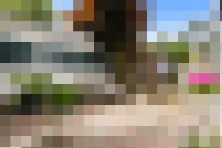Wierbalg 1237 Julianadorp thumbnail 23