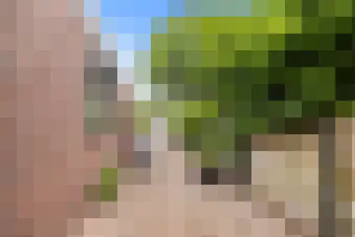 Wierbalg 1237 Julianadorp thumbnail 24