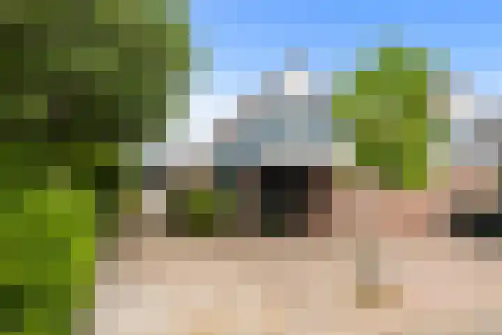 Wierbalg 1237 Julianadorp thumbnail 30