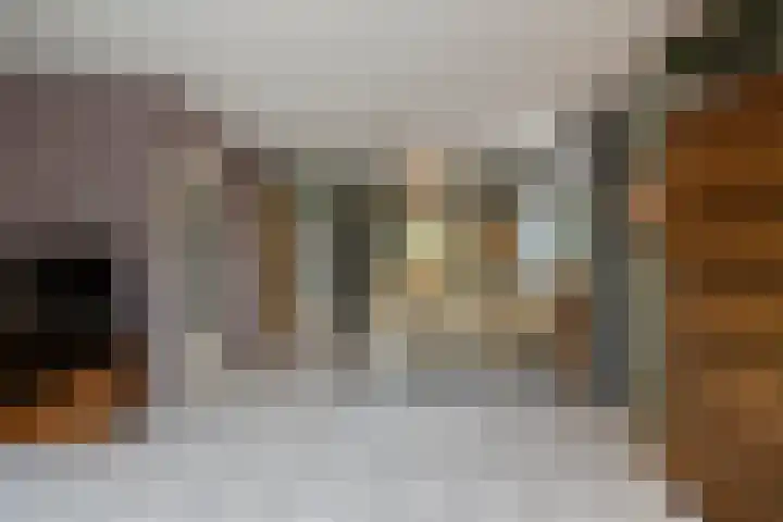Wierbalg 1237 Julianadorp thumbnail 5