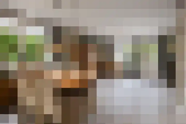 Wierbalg 1237 Julianadorp thumbnail 6