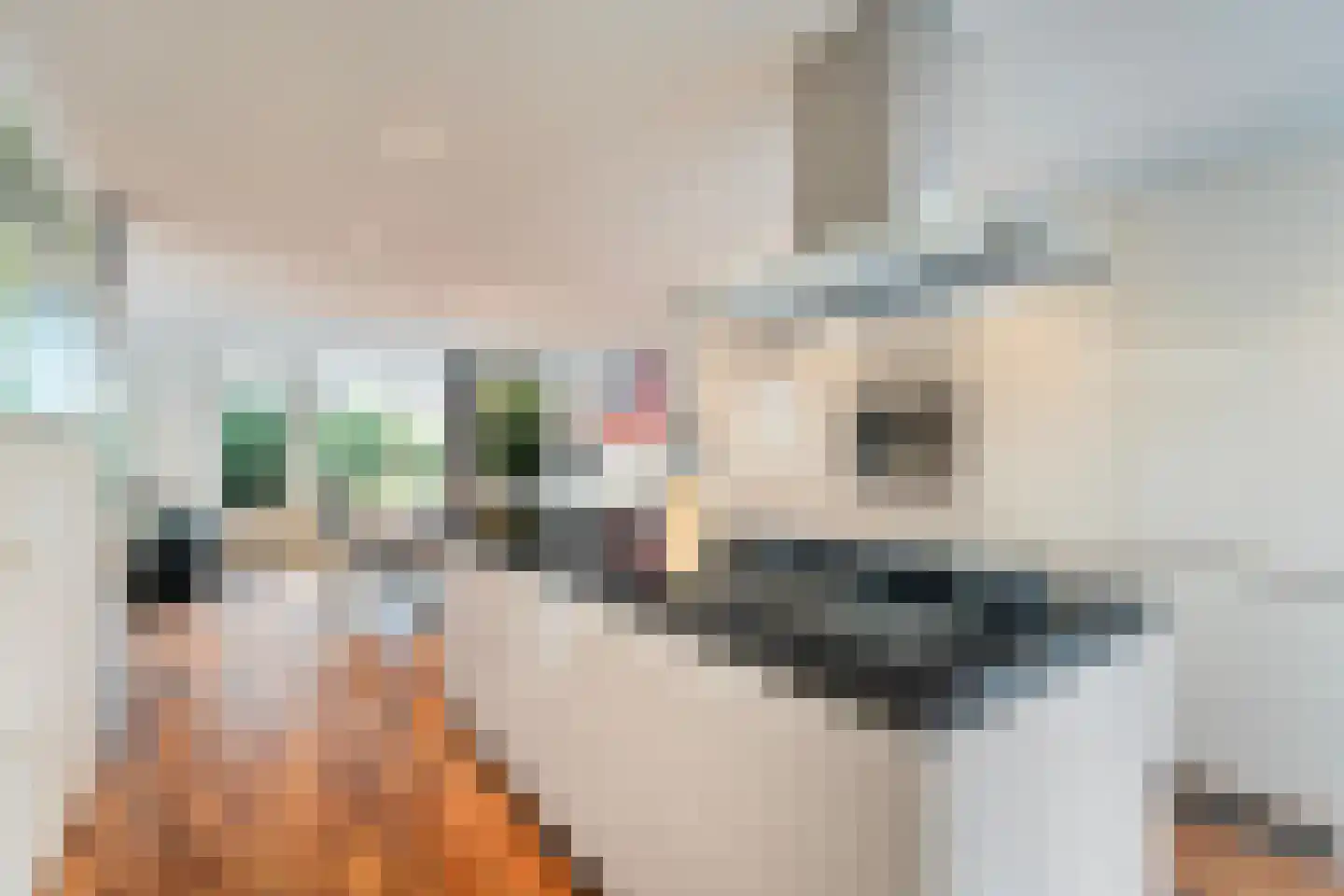 Wierbalg 1240 Julianadorp thumbnail 10