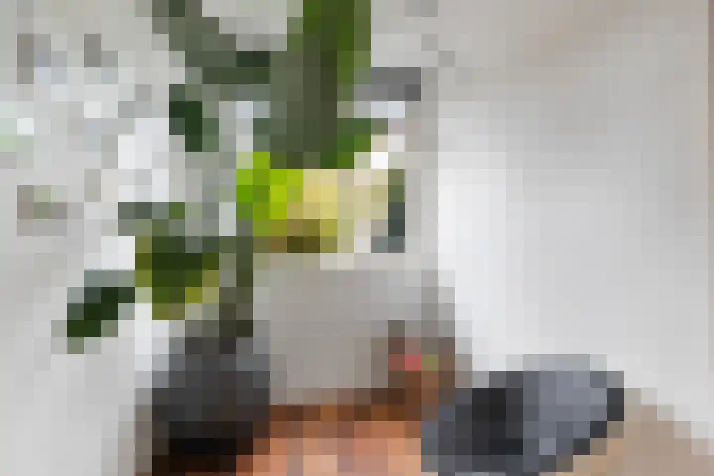 Wierbalg 1240 Julianadorp thumbnail 11