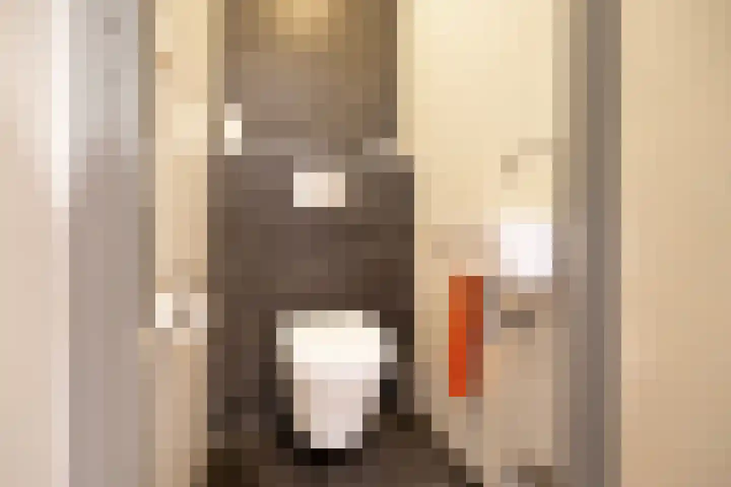 Wierbalg 1240 Julianadorp thumbnail 21