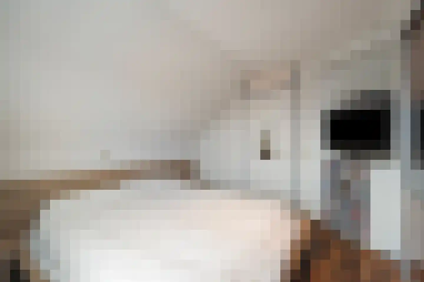 Wierbalg 1240 Julianadorp thumbnail 26