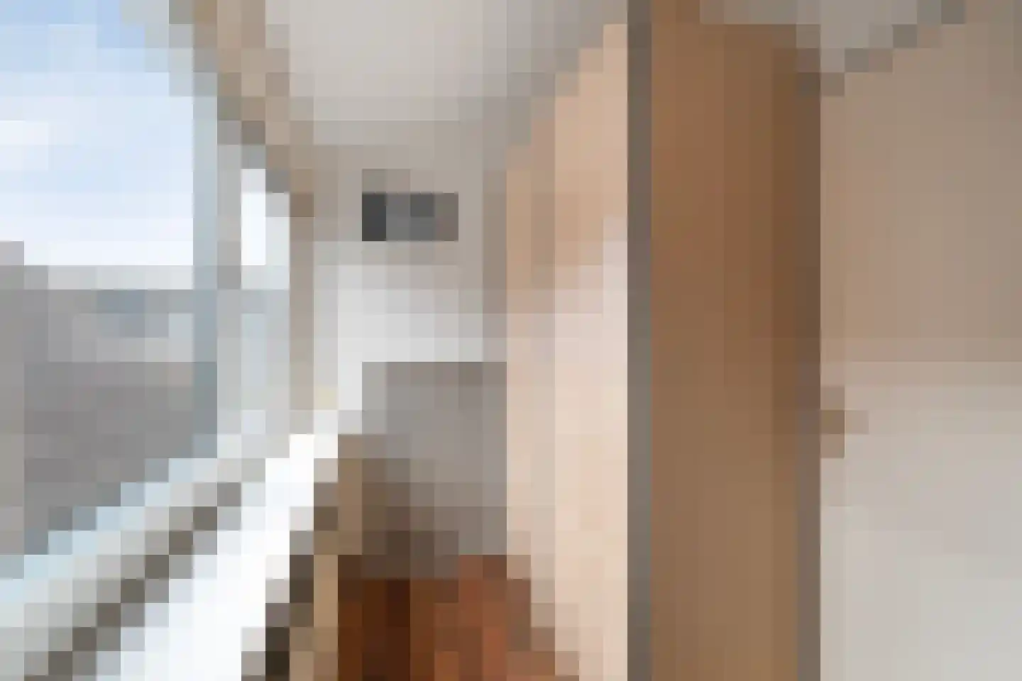Wierbalg 1240 Julianadorp thumbnail 31
