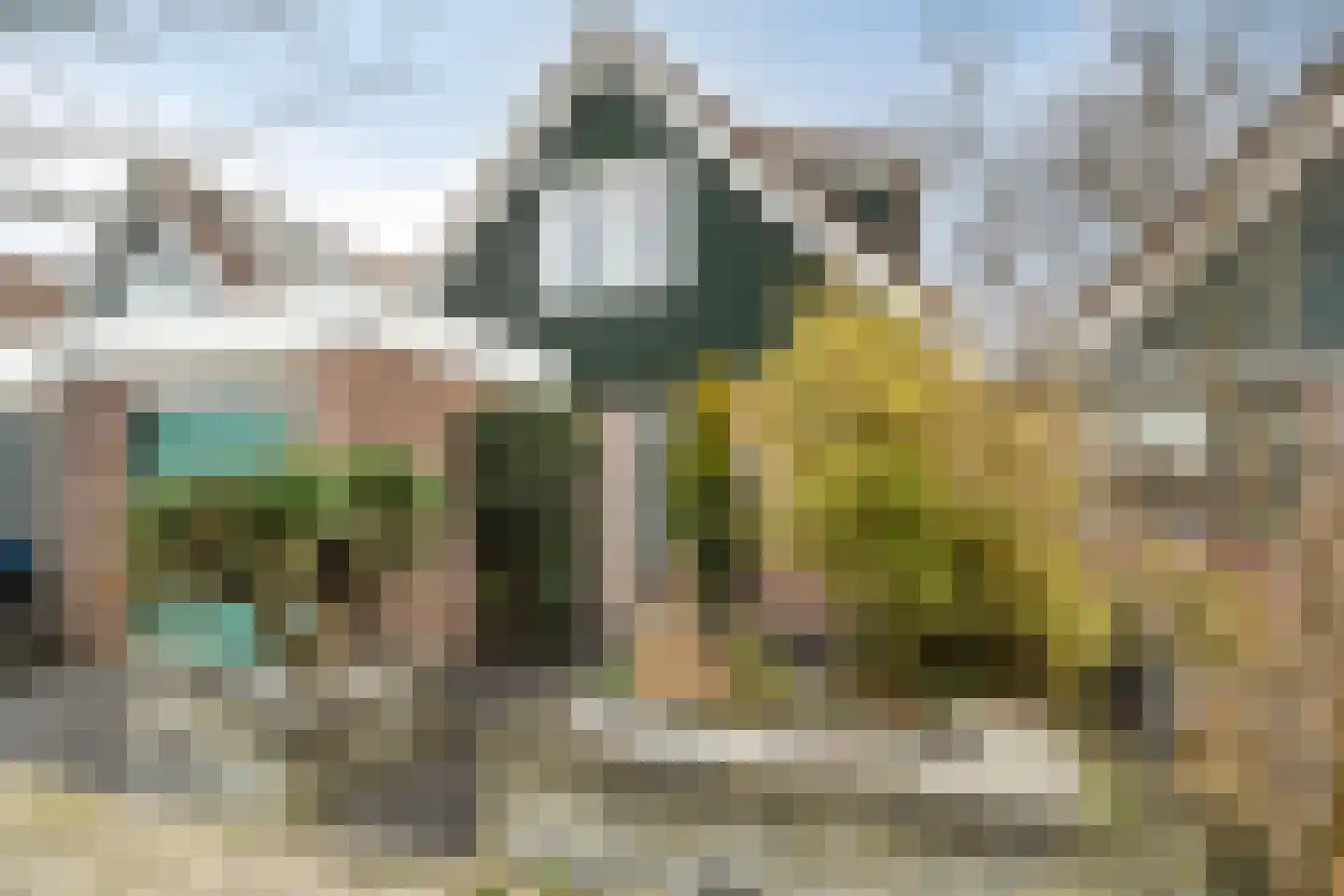 Wierbalg 1240 Julianadorp thumbnail 5