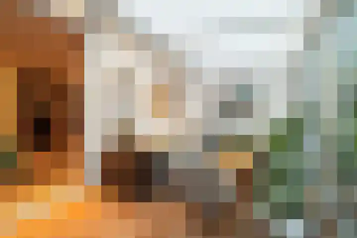 Wierbalg 1313 Julianadorp thumbnail 11