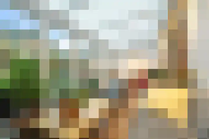 Wierbalg 1313 Julianadorp thumbnail 12