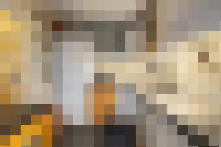 Wierbalg 1313 Julianadorp thumbnail 13