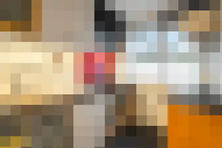 Wierbalg 1313 Julianadorp thumbnail 14