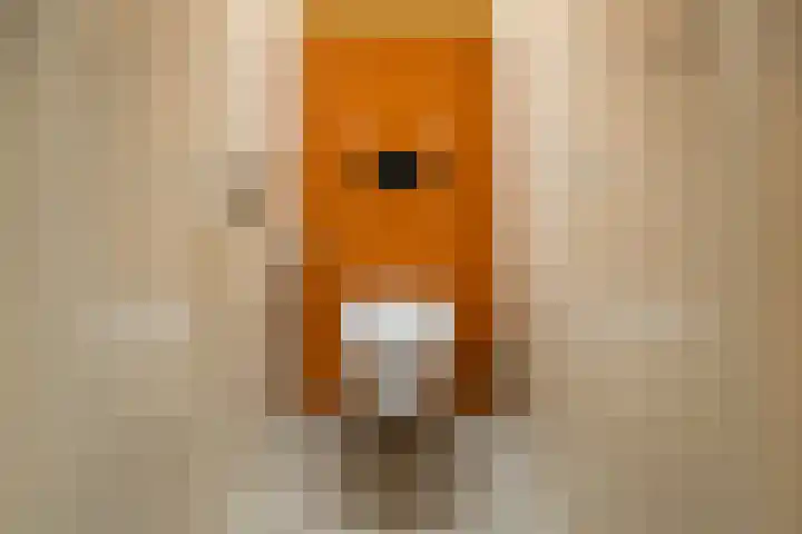 Wierbalg 1313 Julianadorp thumbnail 17