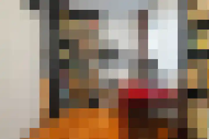 Wierbalg 1313 Julianadorp thumbnail 19