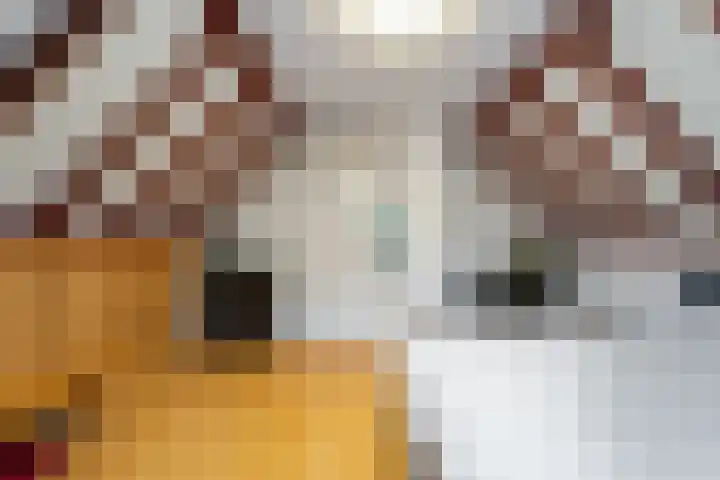 Wierbalg 1313 Julianadorp thumbnail 21