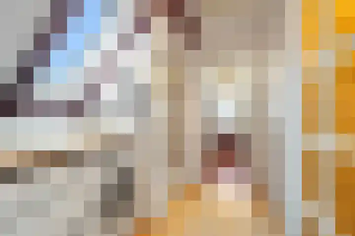 Wierbalg 1313 Julianadorp thumbnail 22