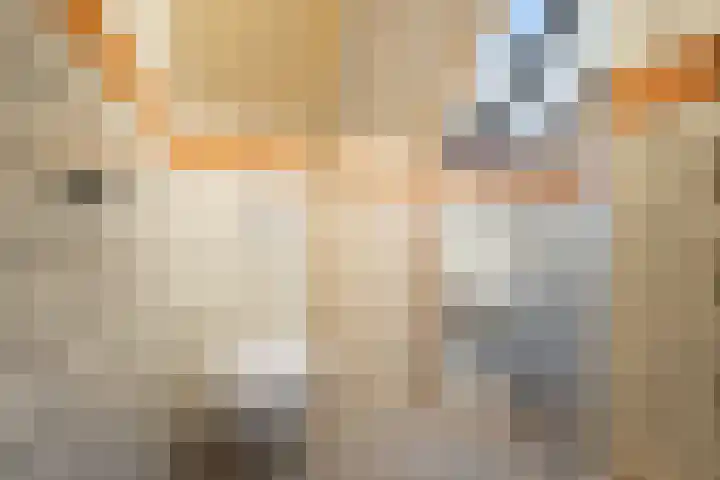 Wierbalg 1313 Julianadorp thumbnail 23
