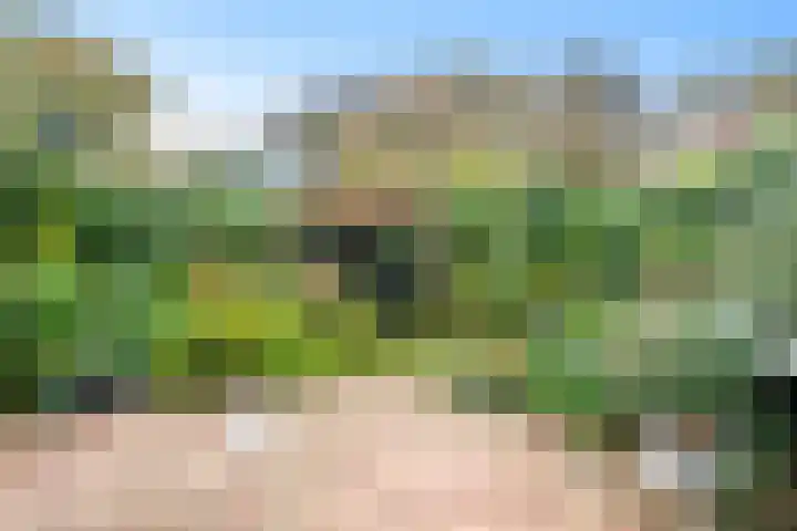 Wierbalg 1313 Julianadorp thumbnail 27