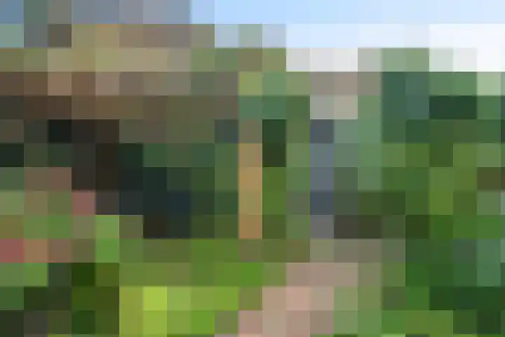 Wierbalg 1313 Julianadorp thumbnail 28