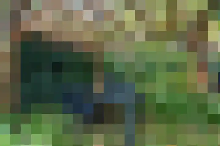 Wierbalg 1313 Julianadorp thumbnail 29