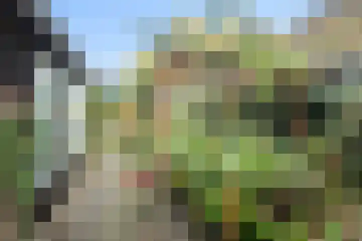 Wierbalg 1313 Julianadorp thumbnail 30