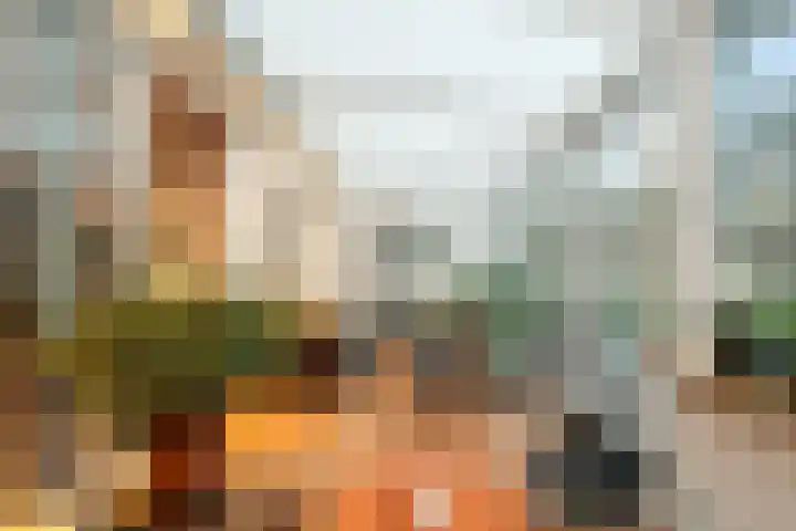 Wierbalg 1313 Julianadorp thumbnail 4