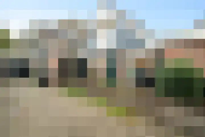 Wierbalg 1313 Julianadorp thumbnail 5