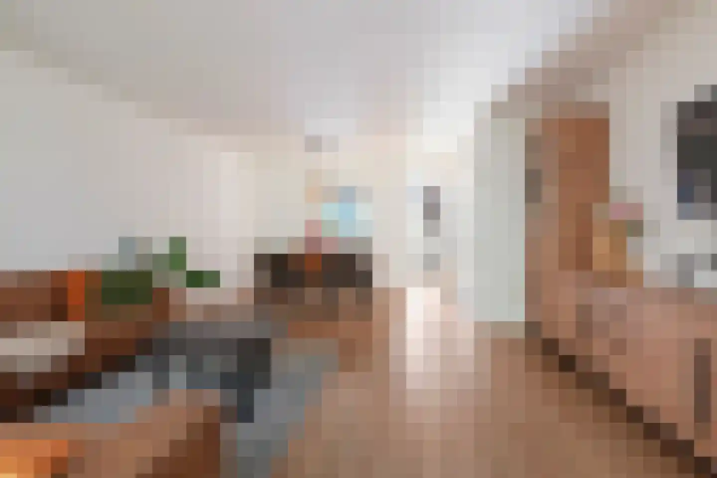 Wierbalg 1314 Julianadorp thumbnail 10