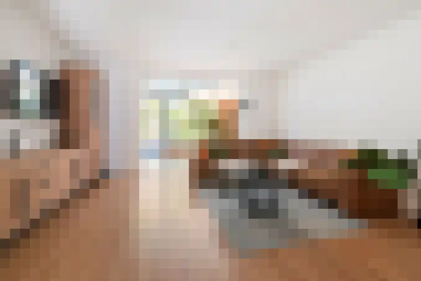 Wierbalg 1314 Julianadorp thumbnail 17
